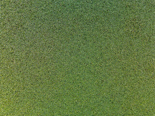 aerial view agricultural field background organic crop texture pattern plants