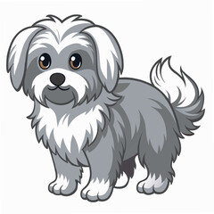 Cute realistic dog  maltipoo standing. Isolated on white background. Suitable for posters,sticker, logo, children's books and encyclopedias. Vector