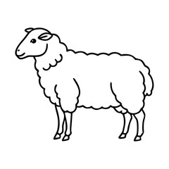 irish sheep icon, irish sheep line art - simple line art of irish sheep, perfect for irish sheep logos and icons