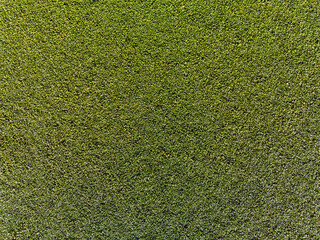 aerial view agricultural field background organic crop texture pattern plants
