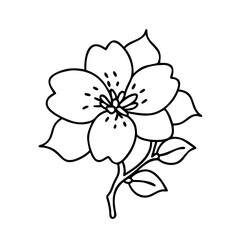 pink blossom icon, pink blossom line art - simple line art of pink blossom, perfect for pink blossom logos and icons