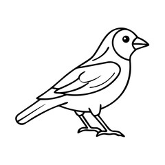 sparrow icon, sparrow line art - simple line art of sparrow, perfect for sparrow logos and icons