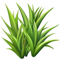 Obraz premium Vibrant green grass sprouting in a lush garden setting