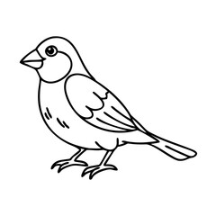 sparrow icon, sparrow line art - simple line art of sparrow, perfect for sparrow logos and icons