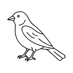 sparrow icon, sparrow line art - simple line art of sparrow, perfect for sparrow logos and icons