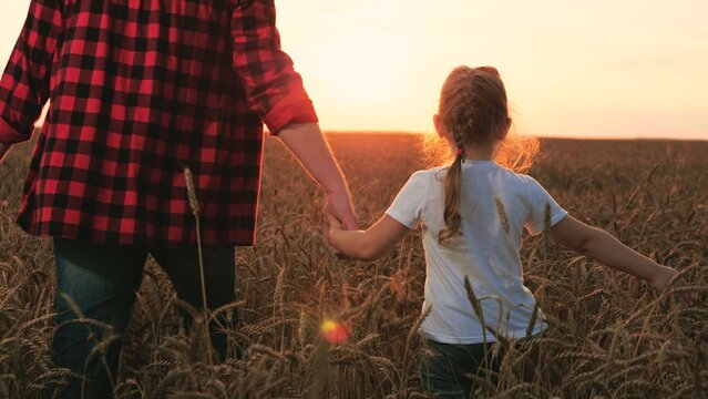 Cute little girl with father farmer holding hands walking at sunset dry wheat field closeup. Happy family male parent with daughter kid child going at sunrise agriculture meadow enjoy weekend