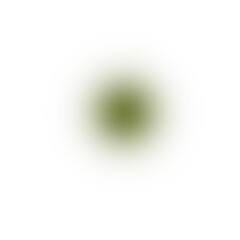 Olive Green Gradient on Transparent Background