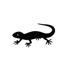 Naklejka premium A crawling lizard vector icon with long tail