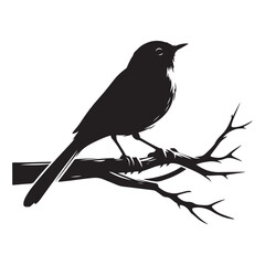 Bird silhouette on branch vector illustration charming design