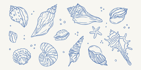 Detailed illustrations of seashells and a starfish created in a minimalist style
