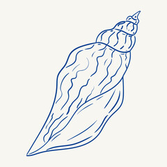 Detailed outline of a sea shell showcasing intricate patterns and textures