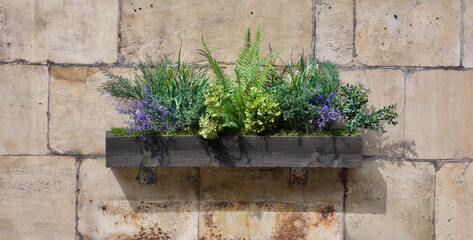 flowers on the wall street decoration city of Bath England
