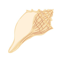 Beautiful conch shell resting on a clean white background