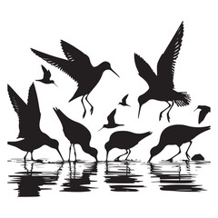 Birds Silhouette by Water Illustration Wildlife Beauty Illustration