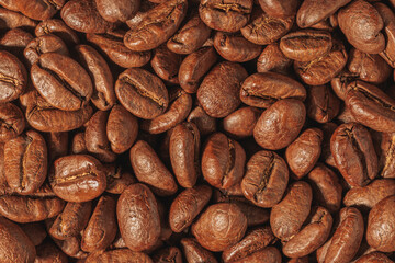 Freshly Roasted Coffee Beans in Sharp Detail.........