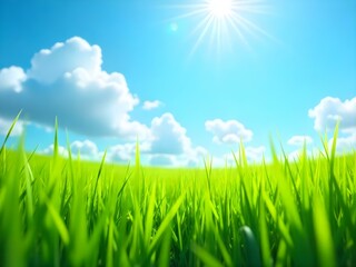 Grass with blue sky