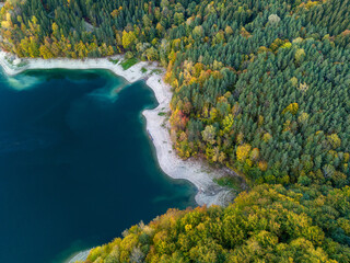 vibrant autumn colors of a forest near a mountain lake