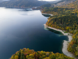 vibrant autumn colors of a forest near a mountain lake