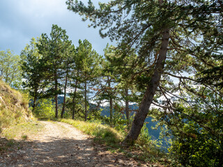 dirt road in the hills in the Southern Alps in France