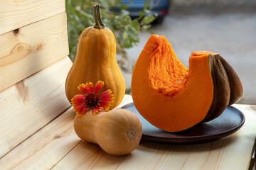 Colorful set of pumpkins and an autumn flower. Slice from very large butternut squash and two small pear-shaped pumpkins. Autumn, harvest, vitamins, healthy food.