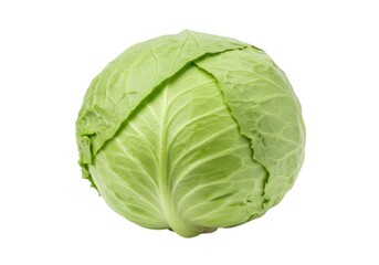 A single head of green cabbage