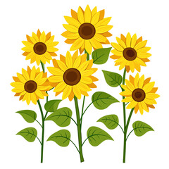 Fototapeta premium sunflower isolated on white Vector icon illustration silhouette Graphics design white background 