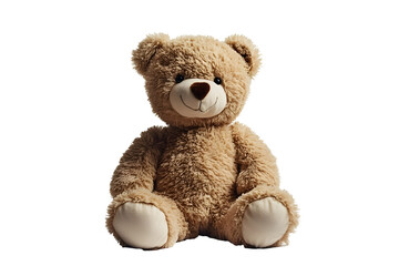 Obraz premium teddy bear isolated on white background