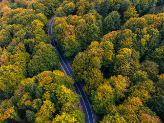 vibrant autumn colors of a forest with a winding asphalt road, aerial view