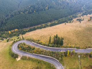 vibrant autumn colors of a forest with a winding asphalt road, aerial view