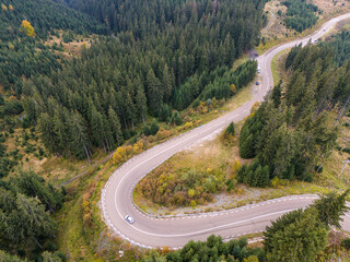 vibrant autumn colors of a forest with a winding asphalt road, aerial view
