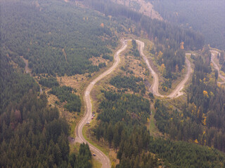 vibrant autumn colors of a forest with a winding asphalt road, aerial view