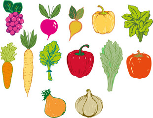 A drawing of various vegetables.