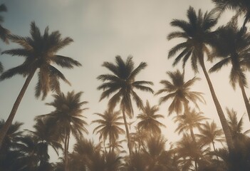 palm photo trees vintage banner tropical panoramic style background web shore foliage holiday landscape leaf retro summer sea panorama season sunny sunshine coast scenic california sky vacation