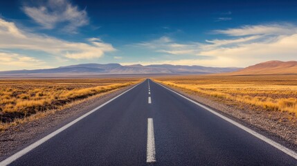 Endless Road Trip: Patagonian Highway Adventure