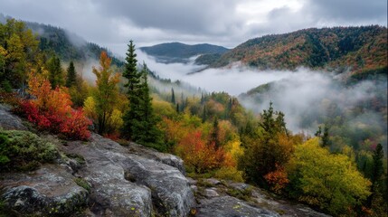Vibrant autumn colors blanket the mountains as mist rises through the valleys. Lush trees showcase hues of red, orange, and yellow under an overcast sky, creating a serene atmosphere