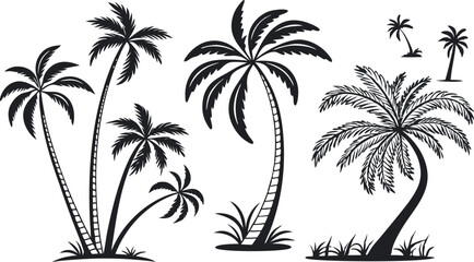 Tropical Palm Tree Vector Illustration – Summer Beach Silhouette Design