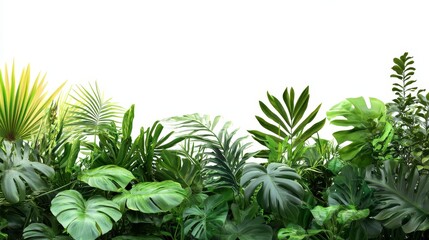 Lush Green Tropical Foliage Creating a Vibrant and Refreshing Atmosphere in an Indoor Space Filled With Various Plant Species
