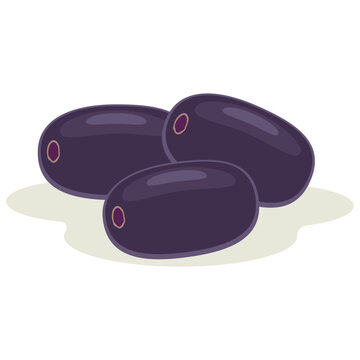 Juwet fruit , Jambolan plum or Javanese plum, scientific name Syzygium cumini