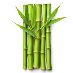 Fototapeta premium Fresh green bamboo stalks stand tall, symbolizing strength and resilience against a crisp white background.