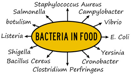 types of bacteria in food