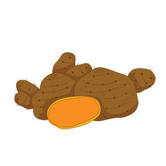 Turmeric Illustration