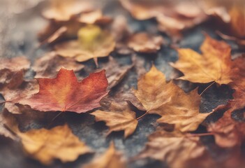 autumn old background watercolor leaves paper gouache decorative artwork botanical drawing fall bright beautiful effect leaf fragile abstract decor decoration foliage forest design canvas element