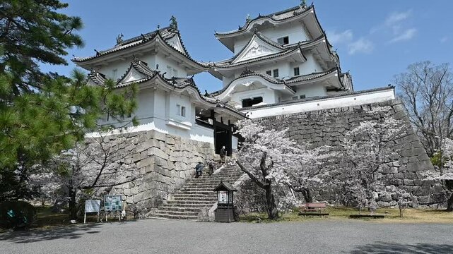 桜と伊賀上野城の風景 三重県伊賀市 日本