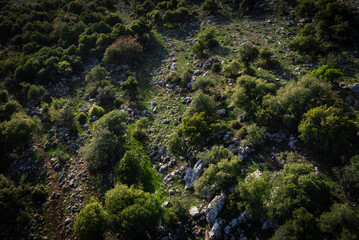 Spring view of Ajloun green hills and forest from inside a cable car, northern Jordan