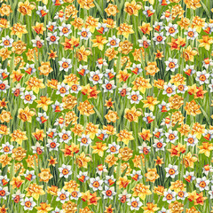 Bright floral seamless background with daffodils. Floral pattern.