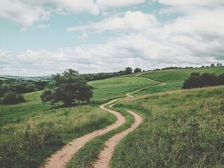 Obraz premium Winding dirt road through a green field on a cloudy day. Serene country landscape.