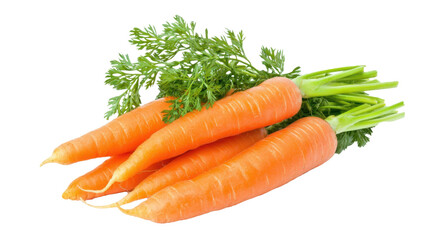 Fresh organic carrots with greens on white background