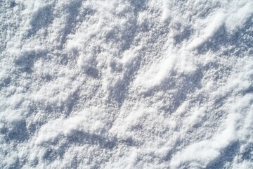 Obraz premium Araffe's footprints trace a sunny winter landscape, highlighting nature's beauty in fresh snow.