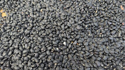 A large number of dried black beans are densely spread out, representing abundance and a harvest ready for processing or cooking