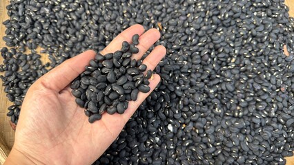 A large number of dried black beans are densely spread out, representing abundance and a harvest ready for processing or cooking
